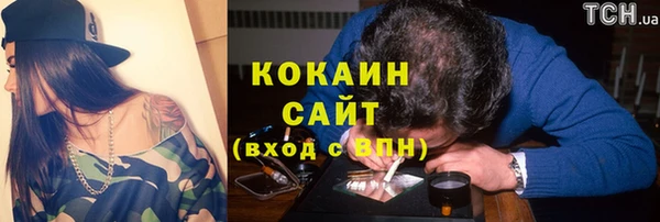 a pvp Магас
