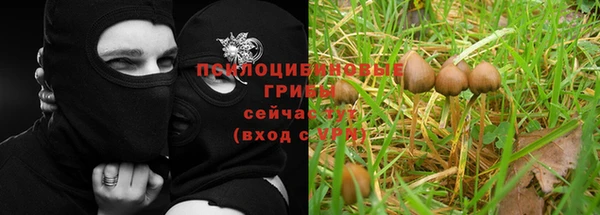 jwh Майский