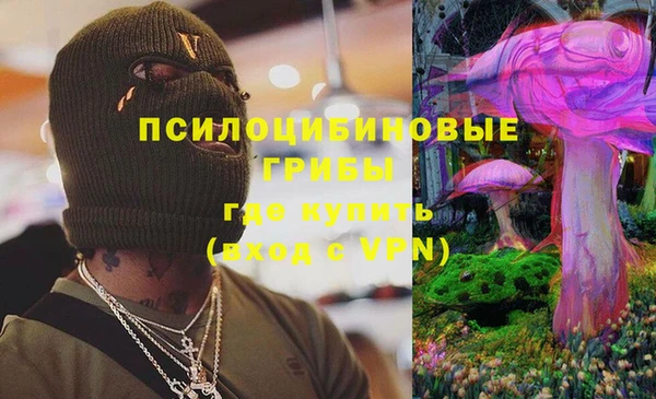 a pvp Магас