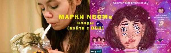 a pvp Магас