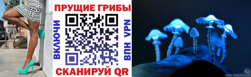 blacksprut ONION  Комсомольск-на-Амуре  Галлюциногенные грибы MAGIC MUSHROOMS 